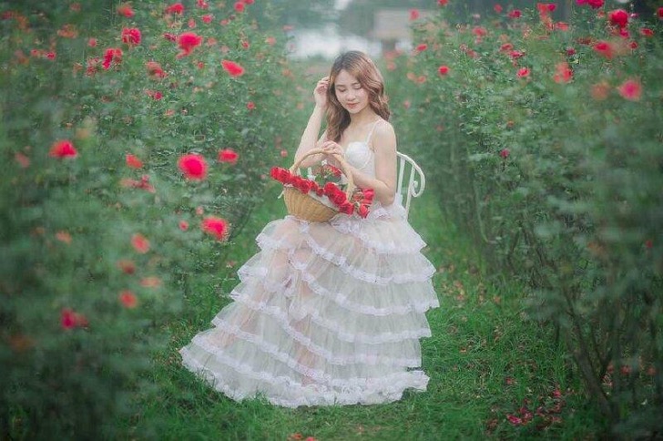 60+ Cách tạo dáng chụp ảnh với Hoa Hồng xinh như Thiên Thần